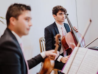 Promo Ludus Trio Instrumental Trio London