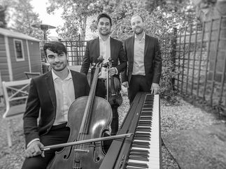 Promo Ludus Trio Instrumental Trio London