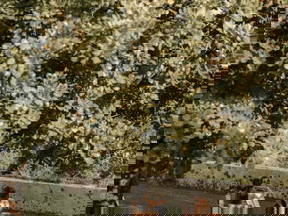 Promo String Fusion Classical Musician Gloucestershire