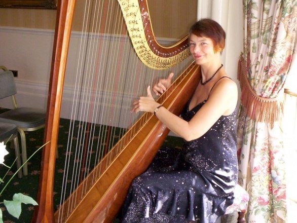 Promo M F Harp (Harpist) Harpist Somerset