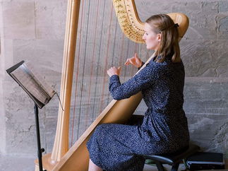 Promo Madeline Harp Harpist Worcestershire