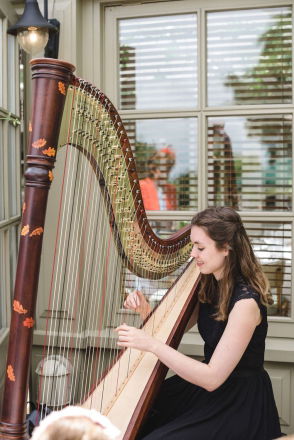 Promo Scarlett Harp Harpist Bristol