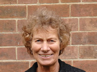 Promo Clifton String Quartet String Quartet Devon