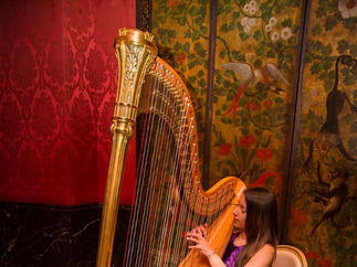 Promo Melissa (Harpist) Harpist London