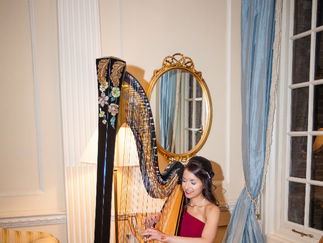 Promo Melissa (Harpist) Harpist London