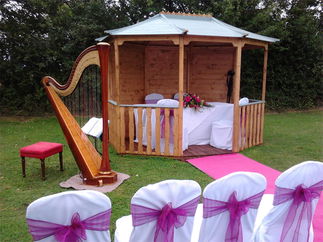 Promo Marie-France (Harpist) Harpist Somerset