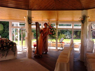 Promo M F Harp (Harpist) Harpist Somerset