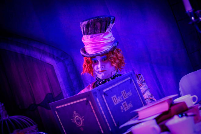 Promo Mad Hatter and Alice in Wonderland Characters Costume Character Norfolk