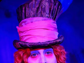 Promo Mad Hatter and Alice in Wonderland Characters Costume Character Norfolk