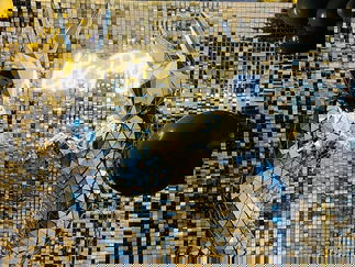 Promo Robo Bunny Mix and Mingle Entertainer London