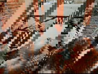 Promo Caricatures by Tom Caricaturist Durham