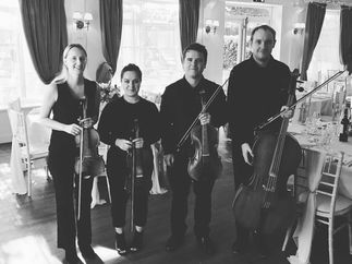Promo Moore Strings String Quartet South Yorkshire