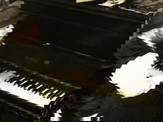 Promo Vintage Pianist Pianist Lancashire