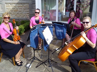 Promo North East Strings String Quartet Northumberland