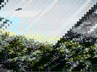 Promo Oliver Archer Singer Guitarist London