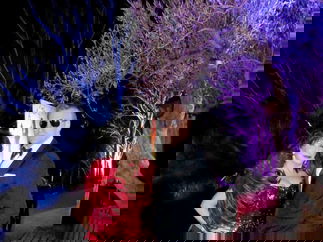 Promo Daniel Craig (Steve Wright) Lookalike Suffolk