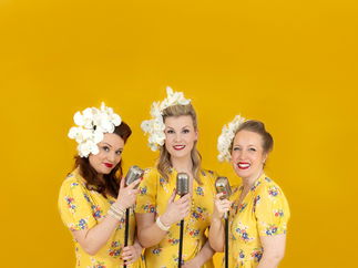 Promo The Sweet Arts Vocal Harmony Trio Buckinghamshire