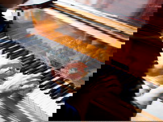 Promo Finn McCool Pianist North Yorkshire