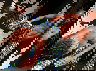 Promo A-List Entertainment Dancer Leicestershire