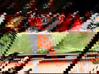 Promo Seana Harpist London