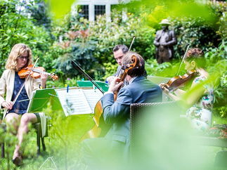 Promo Status Cymbal String Quartet London