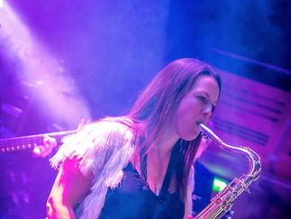 Promo White Gold Function Band Norfolk