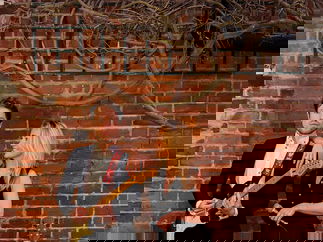 Promo Blonde Notes Solo Artist, Duo or Trio London