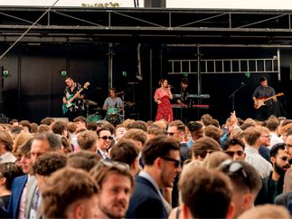 Promo Pulse Function Band East Sussex