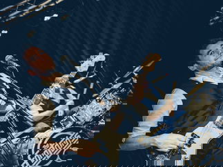 Promo Beat Surrender Rock and Pop Trio Northumberland