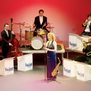 Promo Prestige Swing  Hertfordshire