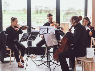 Promo Moore Strings String Quartet South Yorkshire