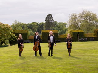 Promo Princes Strings String Quartet Cardiff