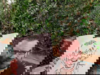 Promo Caractacus Caricaturist Bristol