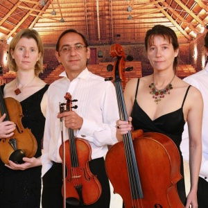 Promo Crystal Strings  West Midlands