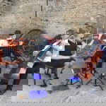 Promo St Swithuns Strings  Bedfordshire