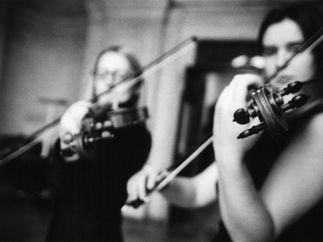 Promo Hampshire String Quartet String Quartet Hampshire