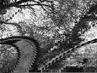 Promo Laurence Solo Artist, Duo or Trio West Midlands