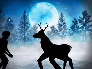 Promo The Christmas Shadow Show Christmas Entertainer Dorset