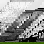 Promo The Function Harpist  Cheshire