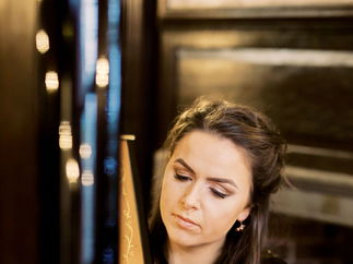 Promo The Function Harpist Harpist Cheshire