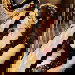 Promo The Function Harpist  Cheshire