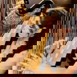 Promo The Function Harpist  Cheshire