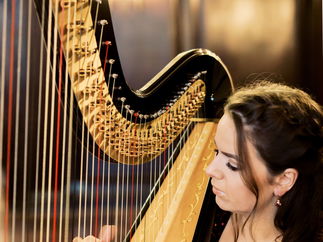 Promo The Function Harpist Harpist Cheshire