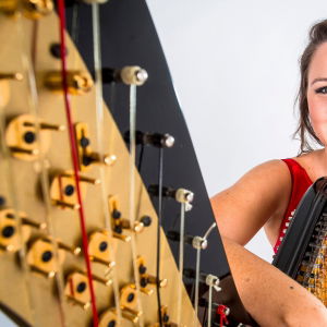 Promo The Function Harpist  Cheshire