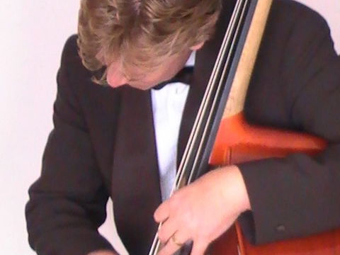 artists similar to The RJO Trio