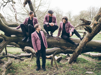 Promo Firebirds Roaming Band Quirky Cool Vintage Band Manchester