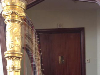 Promo Harmony Duo Harp and Flute Duo London