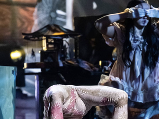 Promo Contortionist Pixie Contortionist London