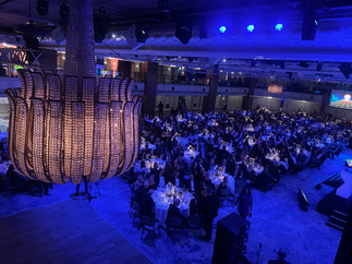 Promo DJ Sanch Party DJ Wiltshire