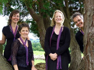 Promo Severn String Quartet String Quartet Somerset